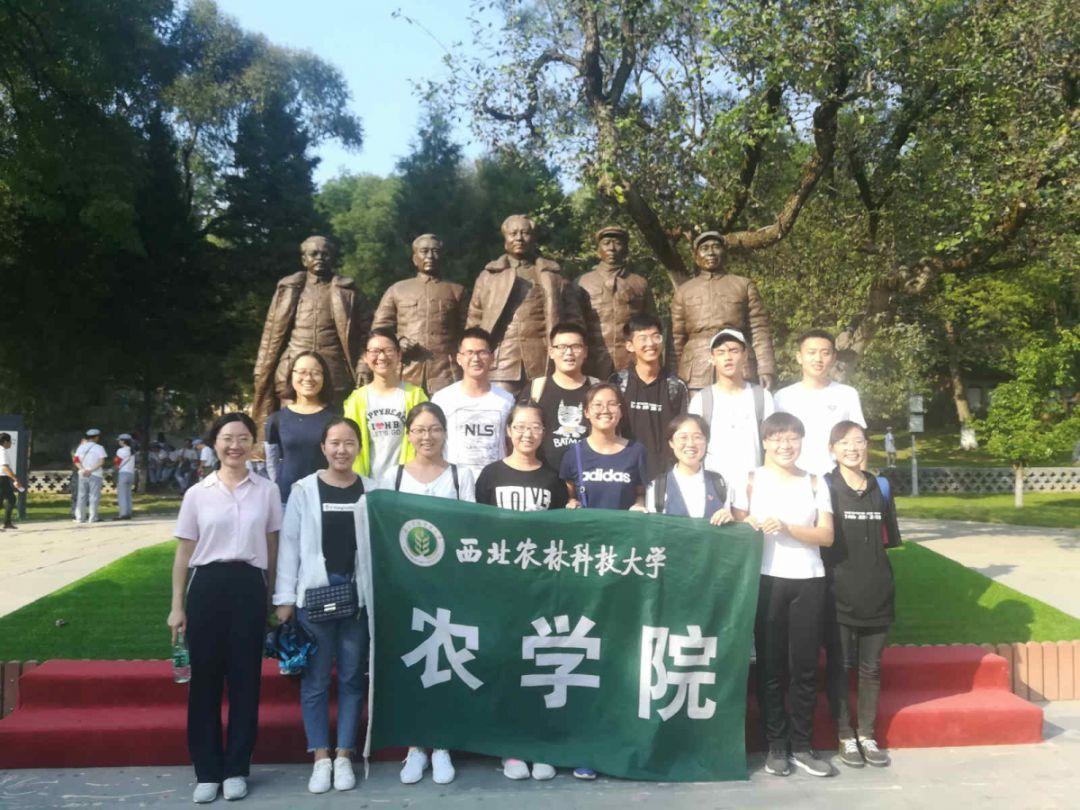 小萌新的甜美装扮